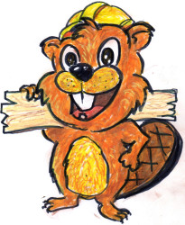 beaver drawing clip art