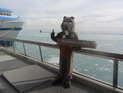 mascot in Navy Pier Chicago